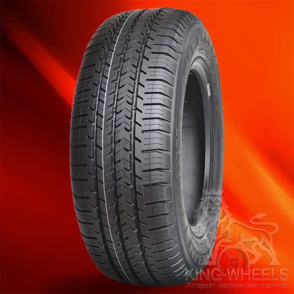 Michelin Agilis-51